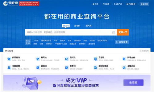 盤(pán)點(diǎn)2024年主流企業(yè)信息查詢軟件與信息技術(shù)咨詢服務(wù)