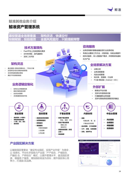 軟件與服務(wù)板塊表現(xiàn)搶眼，信息技術(shù)咨詢服務(wù)引領(lǐng)增長(zhǎng)